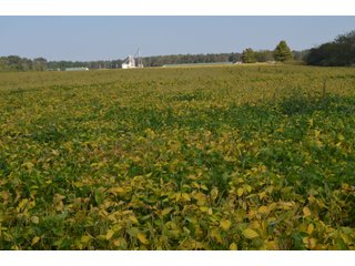 Property photo 25 - REAL ESTATE AUCTION - 604+/- ACRES IN 14 TRACTS IN MERCER CO., OHIO